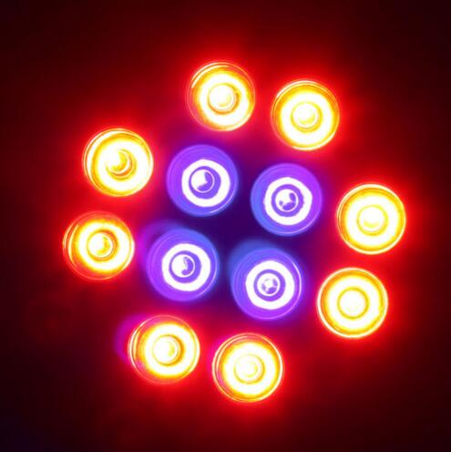 New arrival E27 12w PAR38 led grow light with full spectrum for plant
