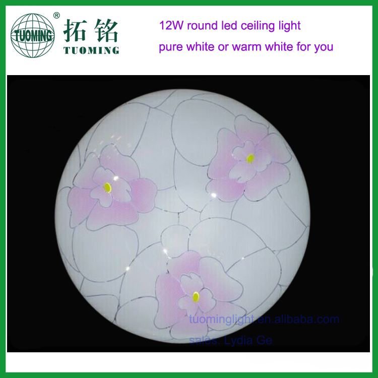 Indoor decor super brightness led ceiling mounted luminaire light fixture modern led ceiling light for children room