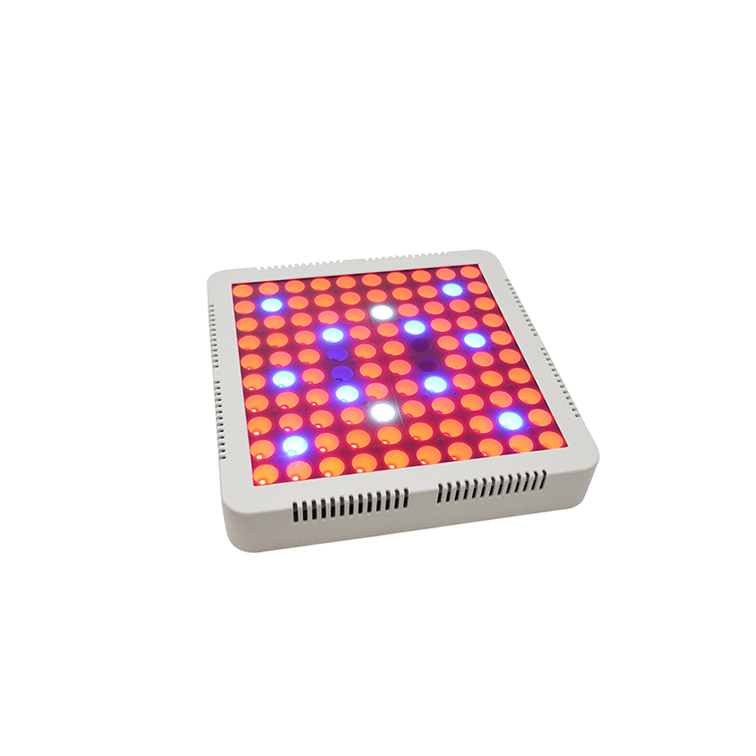 Cheaper and lighter UV IR 390NM 730NM 100w full spectrum led grow light for Greenhouse