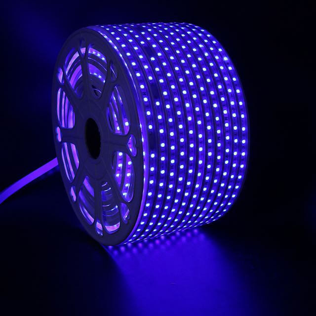 cheap price 110v programmable 10m outdoor ip68 swimming pool uv rope light 5050 waterproof led strip light