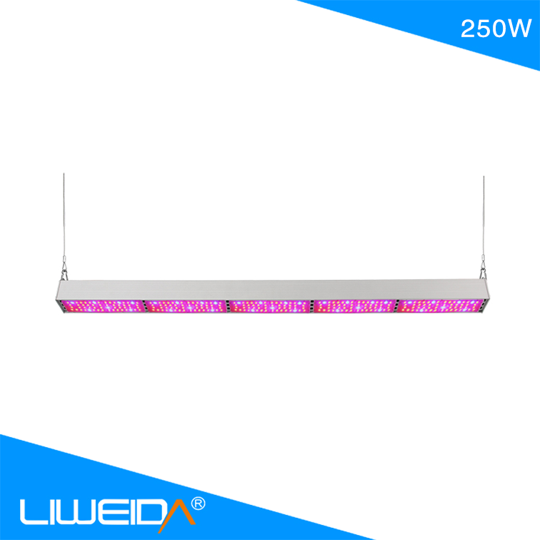 Hydroponic System For Plant Outdoor light 250W AC100-240V Led Linear Grow Lamp