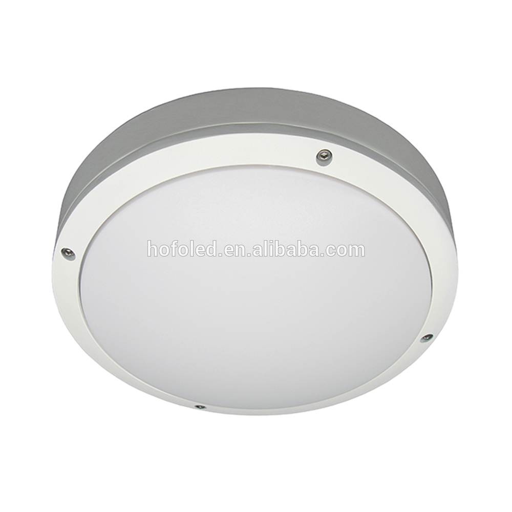 Diameter 275mm Waterproof Wall Mounted Die Cast Aluminum 20W IP65 LED Bulkhead Light