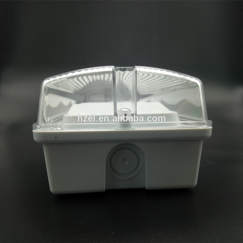 Elevator emergency light for safety lighting