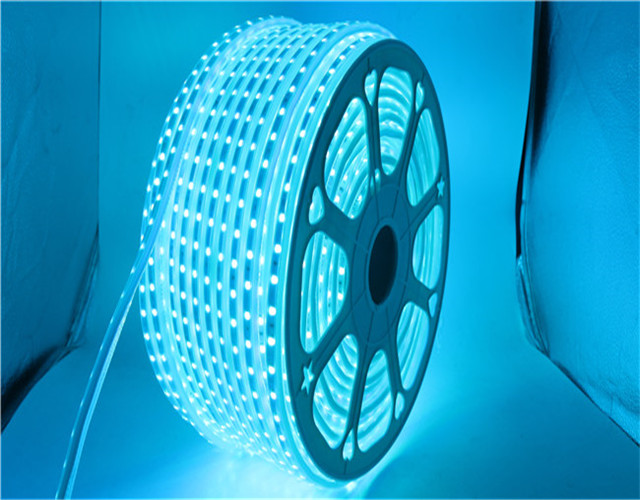 High Voltage 110V 220V 3528 5050 60led/m RGB Led Strip Light