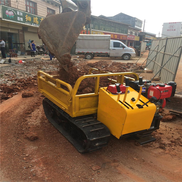 high efficiency rubber track crawler all terrain transporter