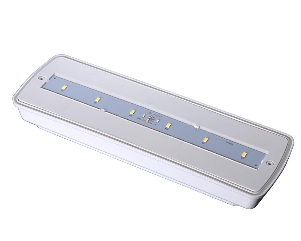 IP65 Waterproof Maintained Milky Cover LED Emergency Light