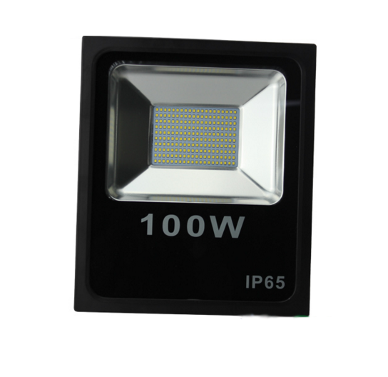 100W Outdoor LED Floodlight AC175~265V