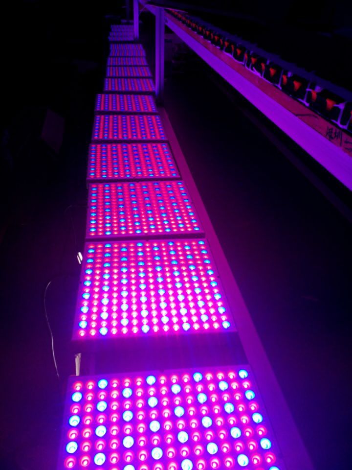 225 Led 45W Indoor Gardening Square Pendant plant lamp LED Grow Lighting lamp Bloom UV IR