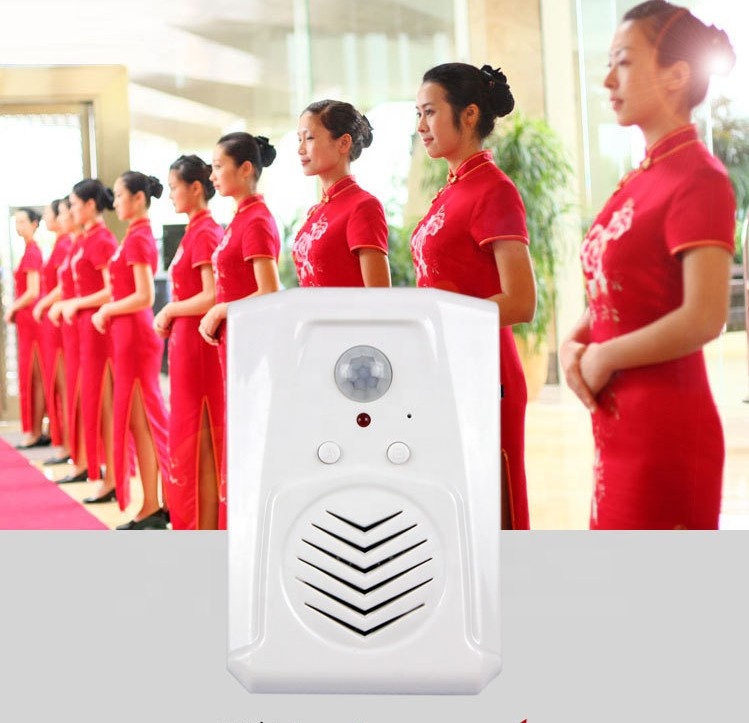 Easy Install Security PIR Motion Sensor Doorbell Housekeeper Shopkeepers Doorbell