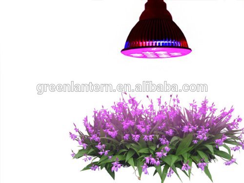 Garden Greenhouse hydroponics grow system E27 12W led plant grow light for plants grow light led