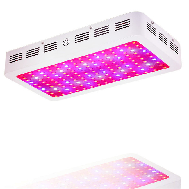 plants and Hydroponic indoor Plants veg flower hoticultural greenhouse Full spectrum 600w LED grow light