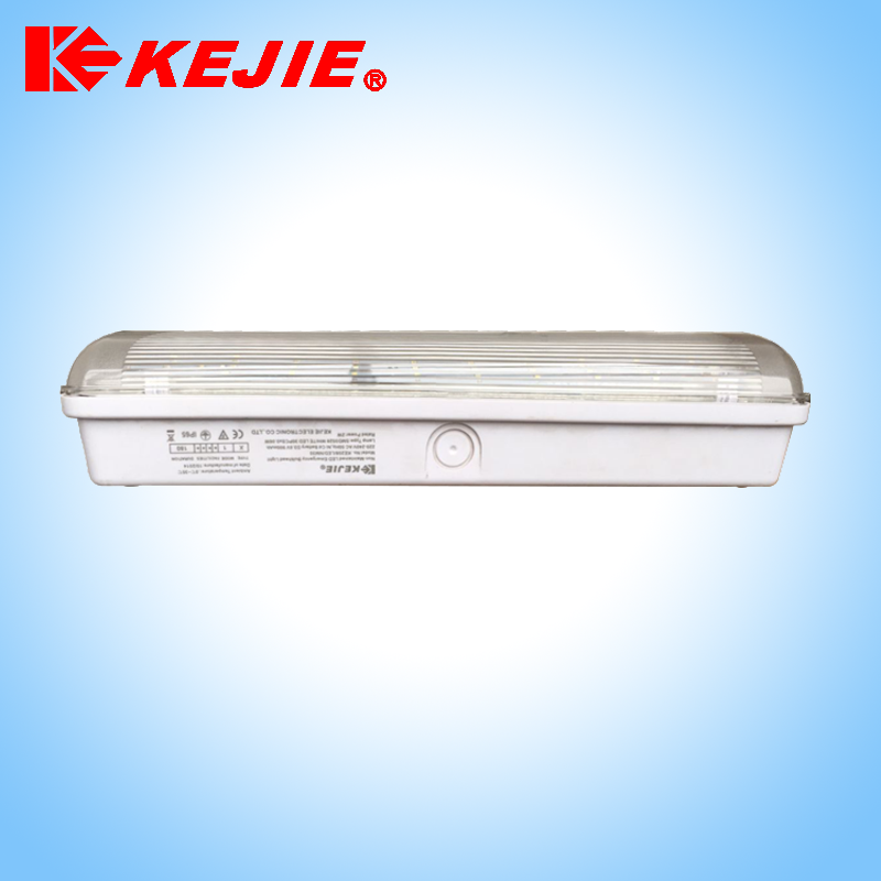 Maintained/Non-maintained IP65 LED rechargeable Emergency light 3W emergency bulkhead light