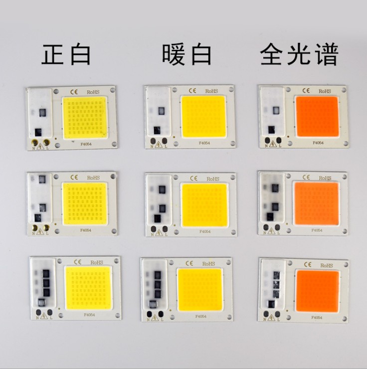 Driver Free 10W 20W 30W LED COB Chip lamp Warm White/Cold White 110V/220V AC Taiwan Chip
