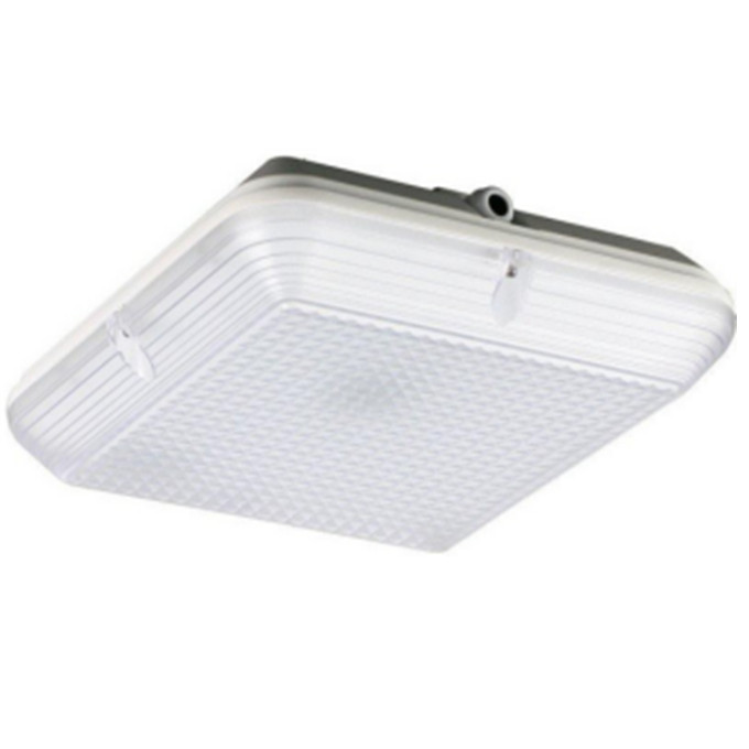110-270V 220-240V emergency light 20w wall surface mount bulkheads