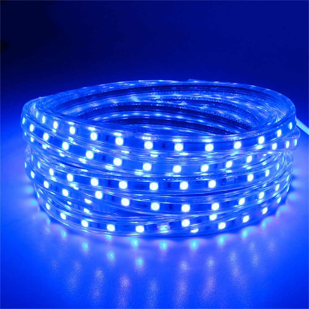 White/Warm white/R/G/B outdoor SMD5050 60led/M Waterproof 220V led tape light