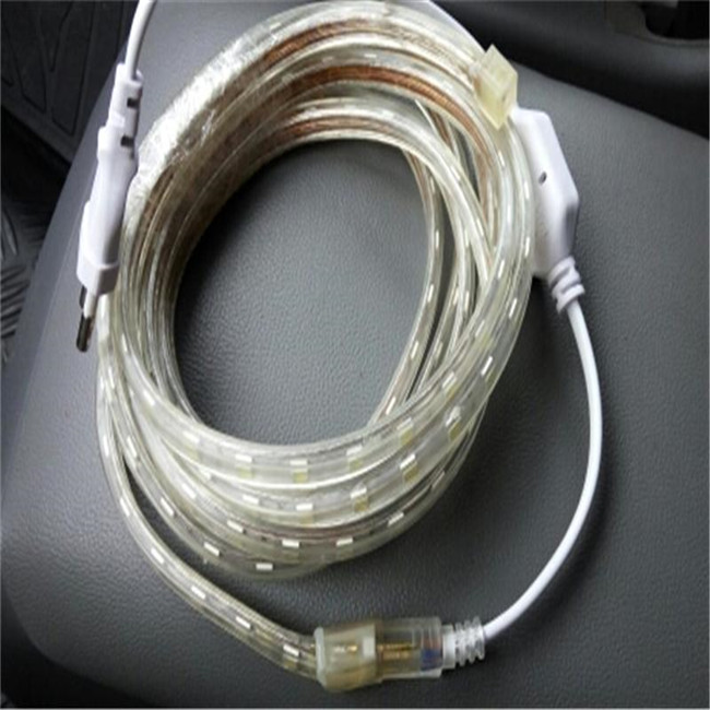 Waterproof 5050 AC220V flexible 60led/m RGB White Warm white Blue Green Red LED strip Light