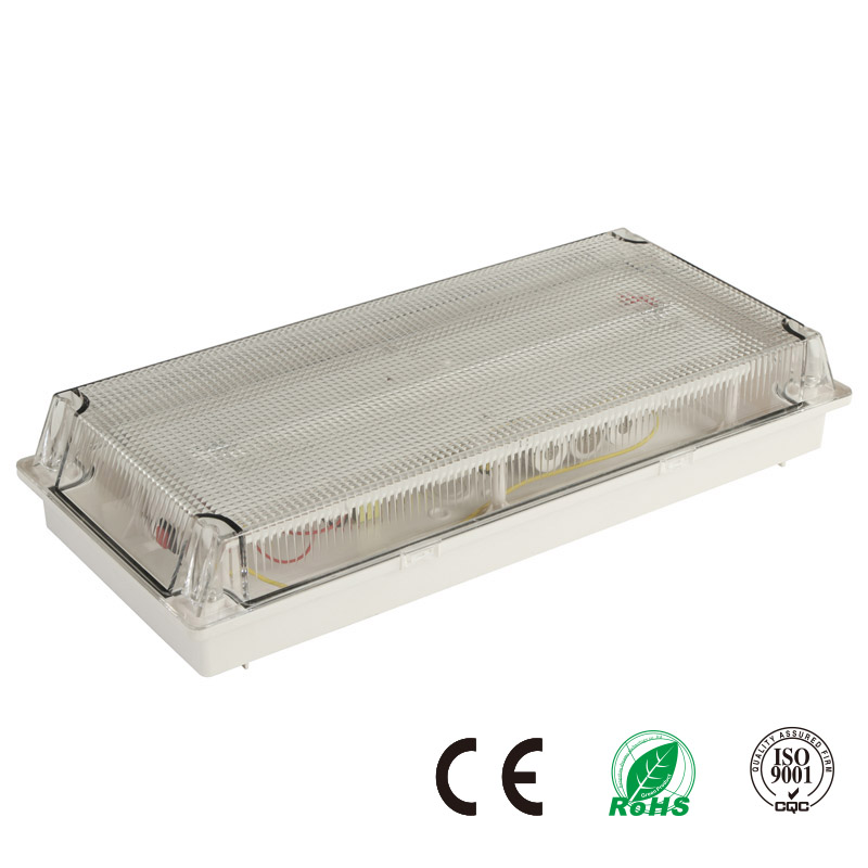 Surface Mounted Charging 8 Watt Fluorescent Tube Rechargeable Emergency Fluorescent Light