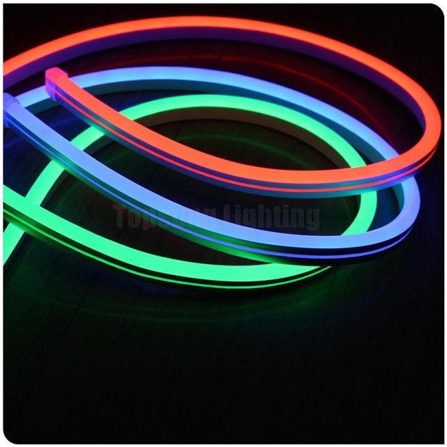 Mini LED Neon Flex 12V 24V 110V 220V RGB LED Neon Light