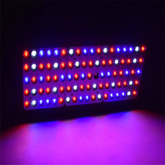 Factory Wholesale Dual VEG BLOOM Switches COB Full Spectrum 900W LED Grow Light