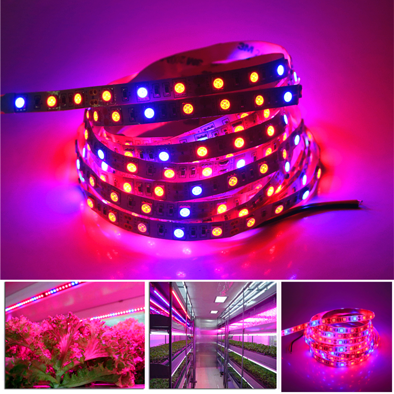 alibaba best sellers green led light greenhouse led plant grow lights 5050 led strips factory price