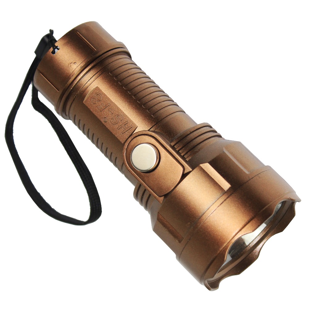 HS-F8 Plastic Antique color 1X D battery flashlight for kenya market