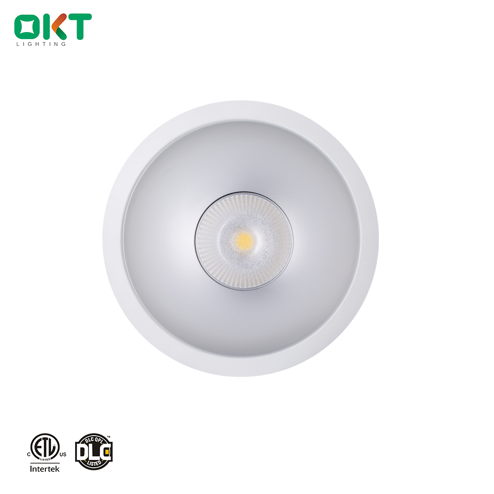 Aluminum Alloy Lamp Body Material and LED Light Source round dimmable led downlight