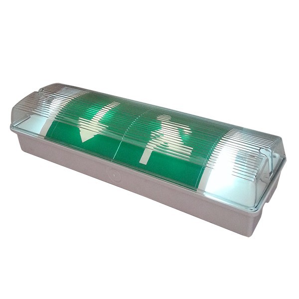Fluorescent Rechargeable Emergency Luminescent Exit Signs