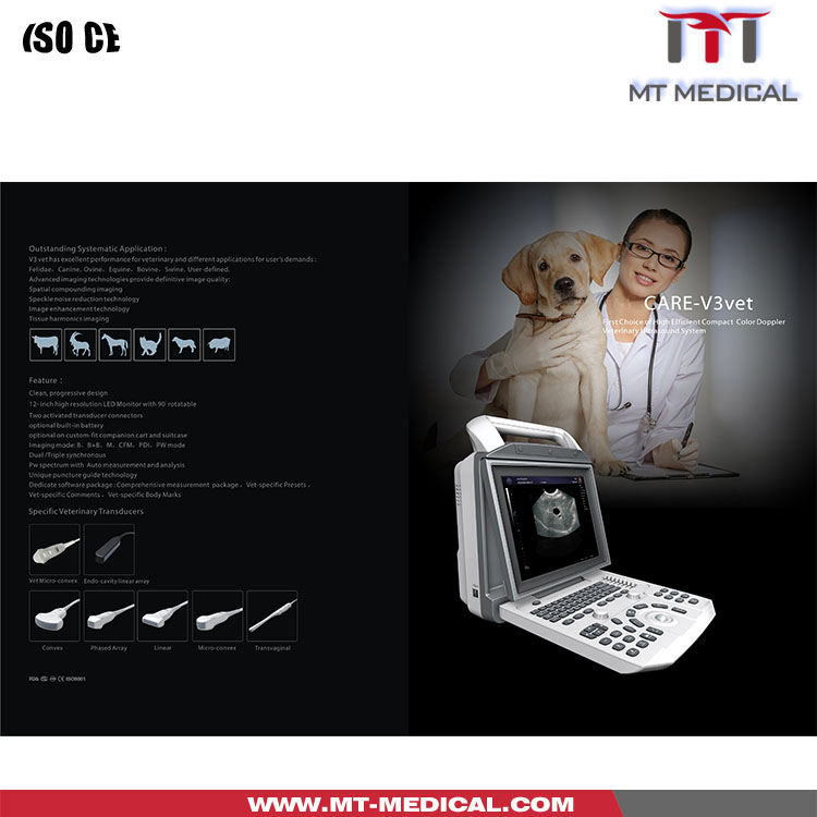 Ultrasound veterinary Machine Instrument Hospital Equipment