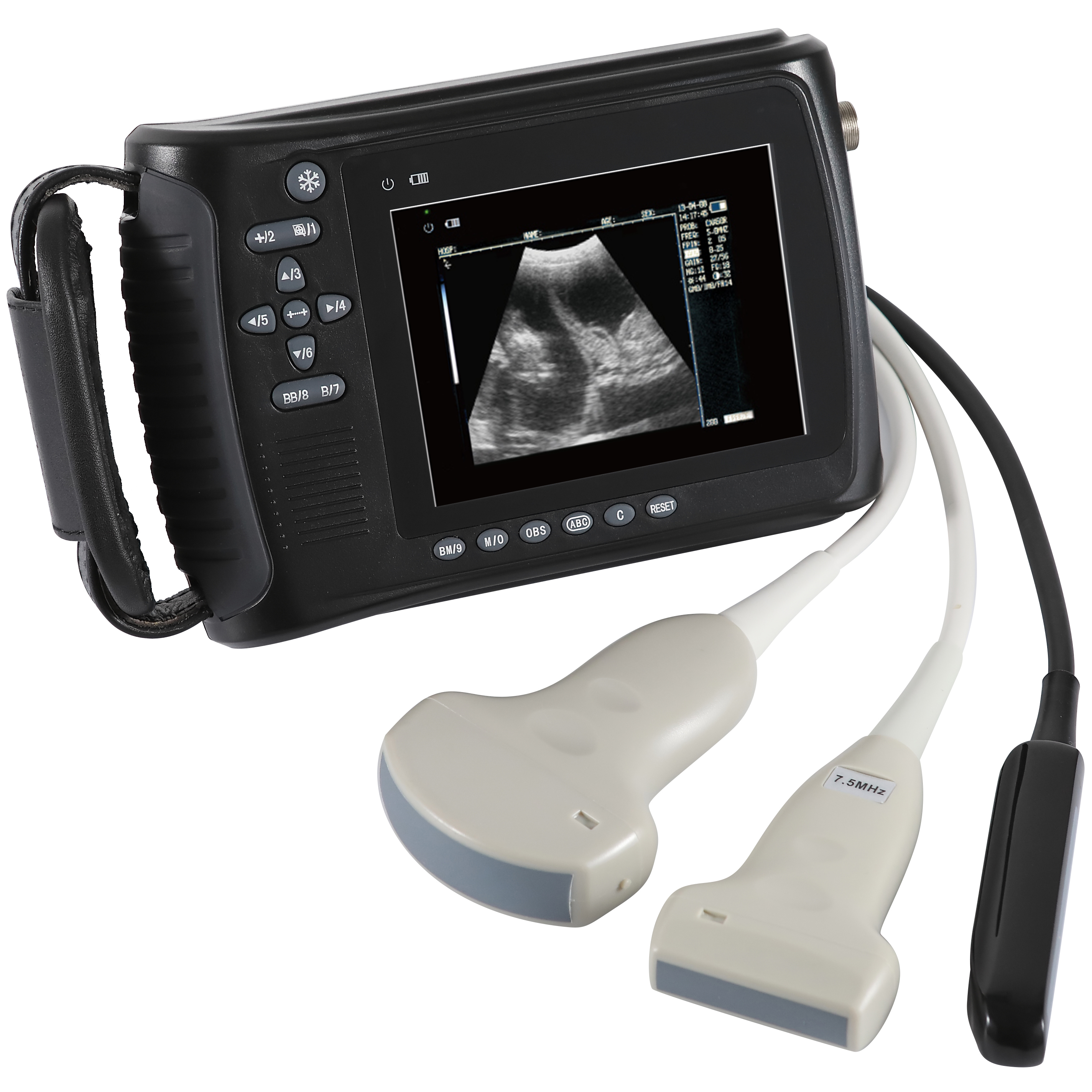 Portable handheld animal dog and cat ultrasound scanner