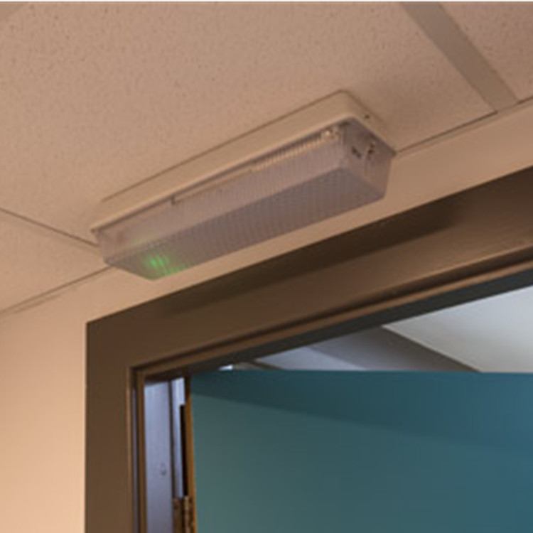 Dali Dimmable 15W LED Rectangular Bulkhead Light IP65 Die Cast LED Ceiling Light PC Diffuser 4000K