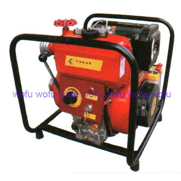 Electric/recoil starting portable fire pump