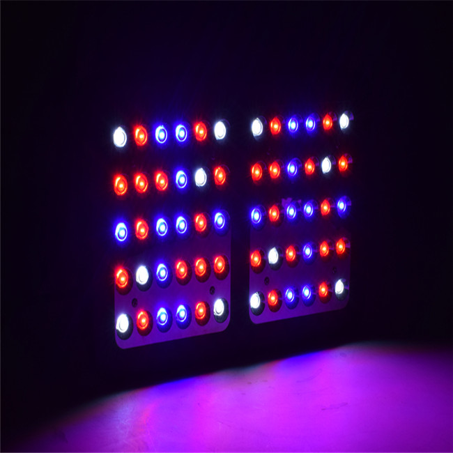 Factory Wholesale Dual VEG BLOOM Switches Full Spectrum 600W LED Grow Light