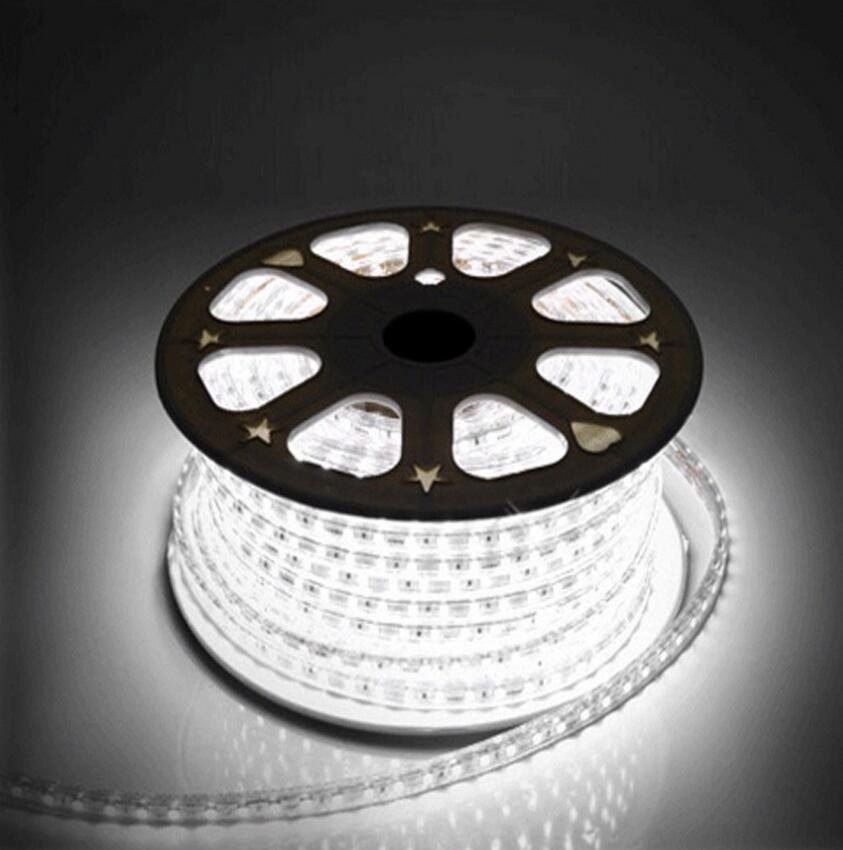 Waterproof IP67 AC 220V LED Light Strip 60leds/m 5050SMD LED Strip Light With Power Plug LED Lights