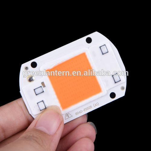 AC 220V driverless 380nm-840nm 20W 30W 50W Led COB chip Grow Light for plant