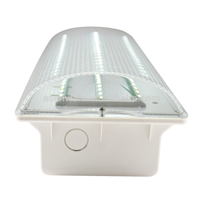 Fluorescent tube emergency lighting fixtures wall mounted