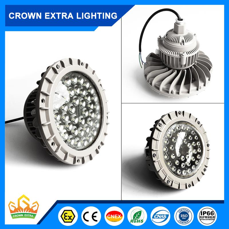 Pendant explosion proof Light Aluminum Cage