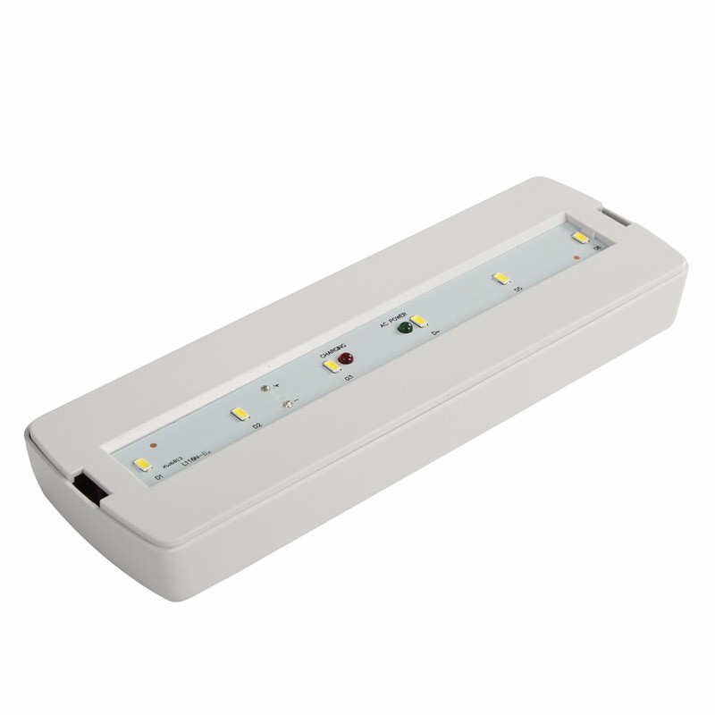 CE RoHS 3W Ceiling Emergency Exit Light