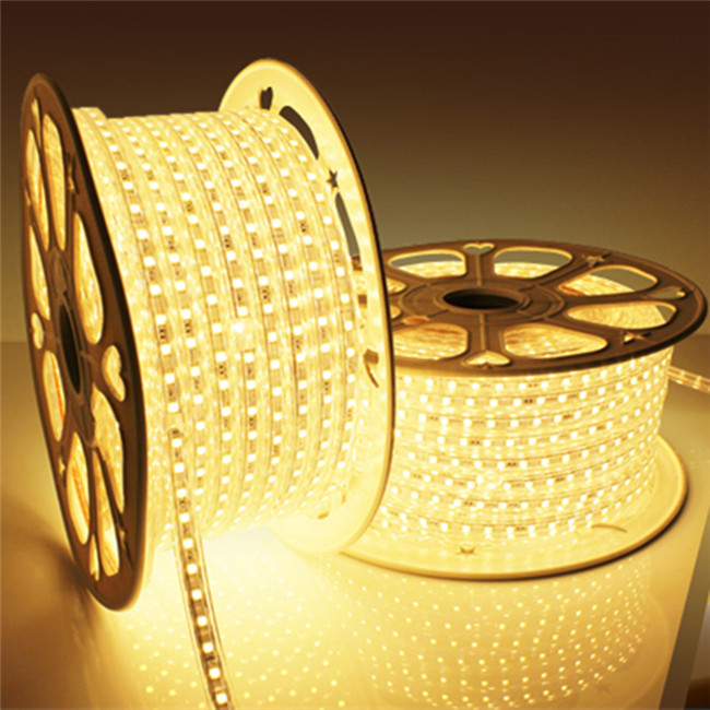 Waterproof 5050 AC220V flexible 60led/m RGB White Warm white Blue Green Red LED strip Light