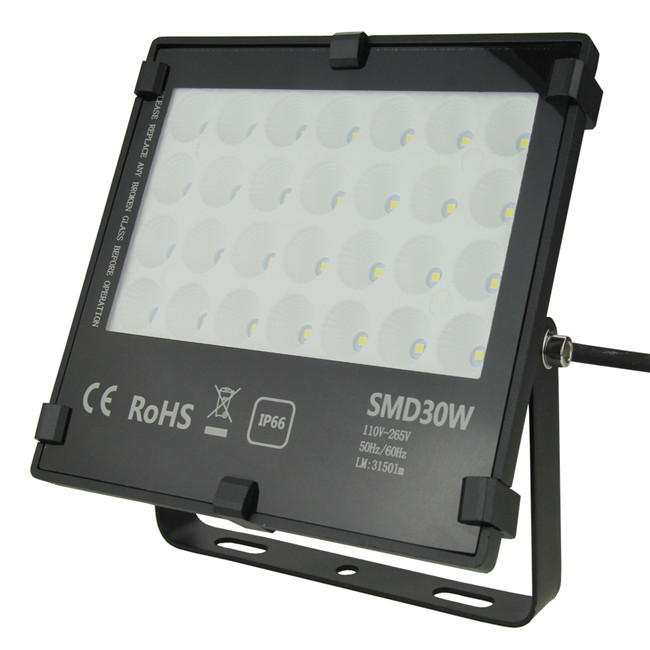 Plaza gas station playground fishing amusement park outdoor 30W AC85~265V DC12~24V 110LM/Watt Honeycomb Led Floodlight