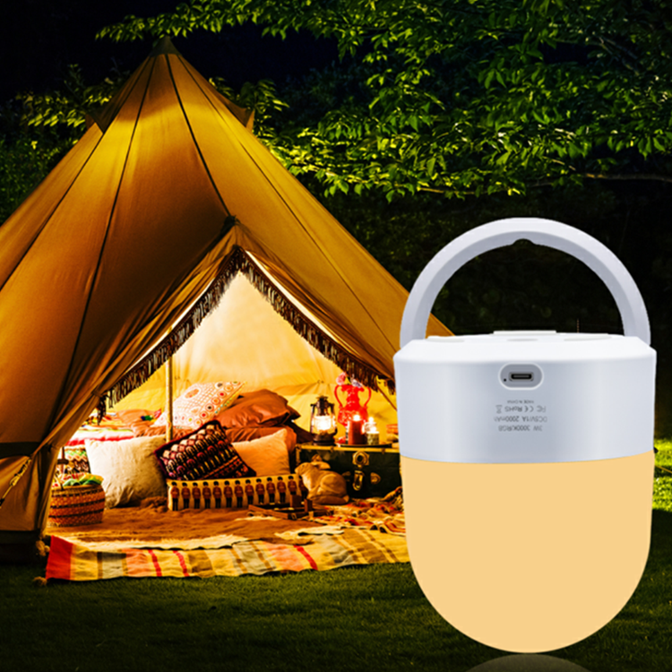 DC5V adjustable brightness and light color baby nursery led night light