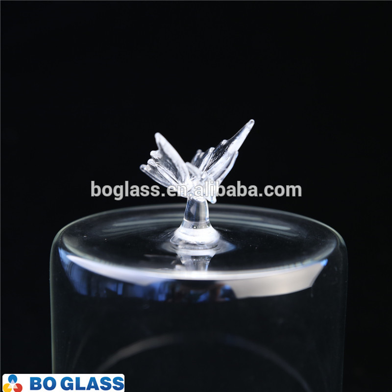 display glass dome