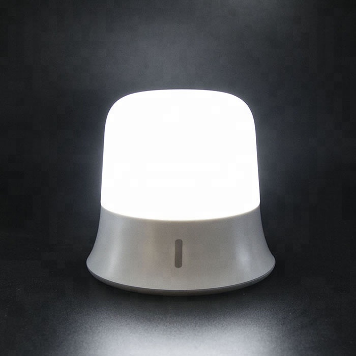 Customized High Quality Cheap Portable Camp Lamp 3W DC5V Hanger Pendent Tent light USB Cable Motion Sensor Baby LED Night Light
