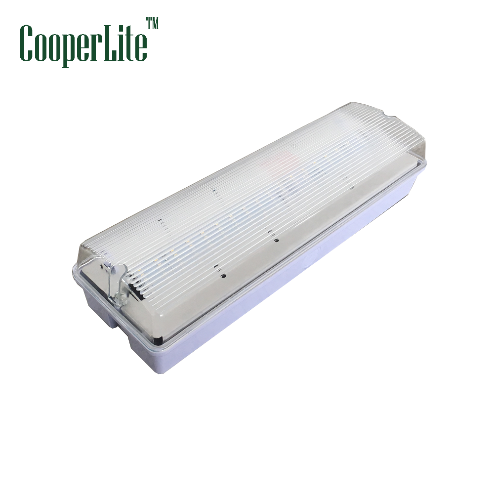 CooperLite ZL-6060 IP65 20LED Emergency Bulkhead Light