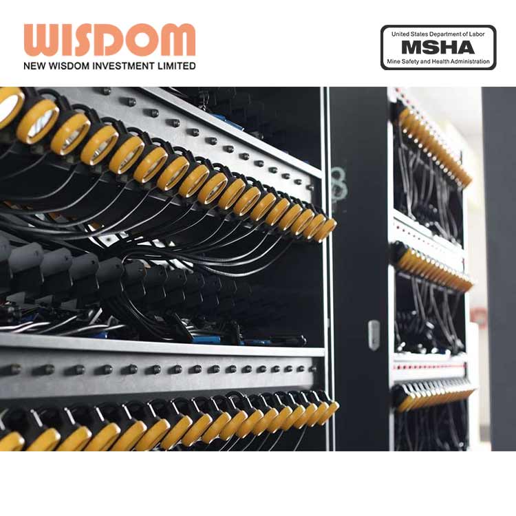 Original WISDOM Brand KL5M with 13H/16H working time and 16000Lux/11000Lux