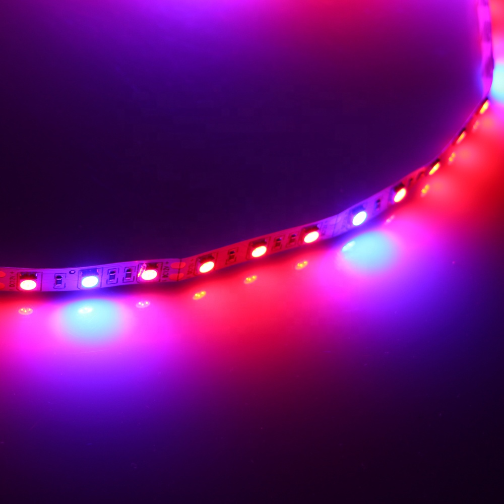 Cheap Replace Led Grow Light , 12V Smd 5050 Led Plant Grow Light Strip