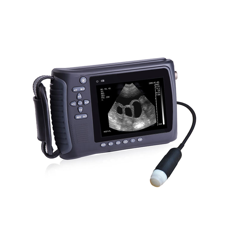 Portable Veterinary ultrasound machine  for animals