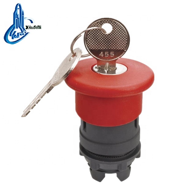 key-lock mushroom head push button/keyed electrical momentary push button switch pb223pj-11d b 12v  head LAY4-ES14 made in China