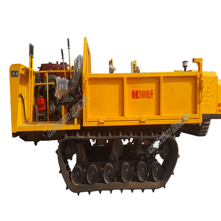 3ton diesel power mini track crawler dumper dealer