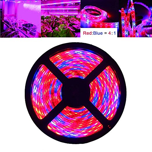 Full Spectrum SMD 2835 5050 4 Red 1 Blue 660nm UV Led Strip Grow Lights for Plants Growing