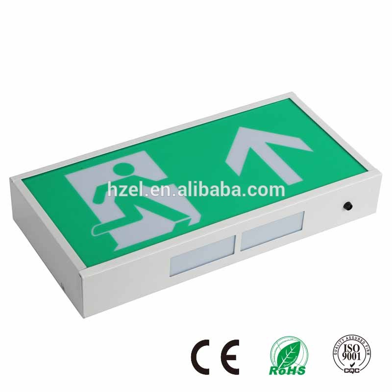 CE RoHS Steel 30 SMD LED Emergency Exit Light